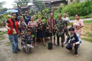 Yayasan Green Justice Indonesia Sudah Distribusikan10.000 Bibit Kemenyan Untuk Masa Depan Hutan Adat Sumut